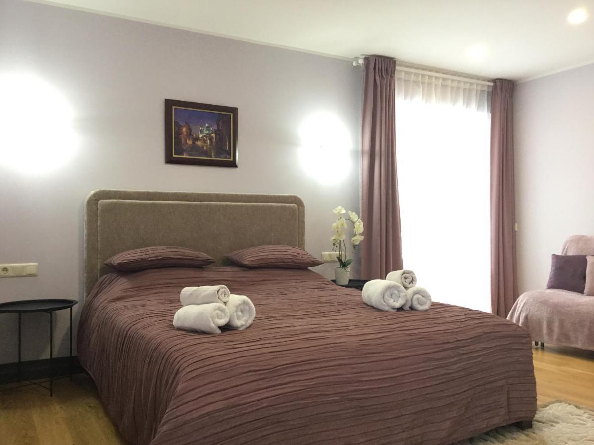 ドルスキニンカイ Radvi Houseヴィラ エクステリア 写真